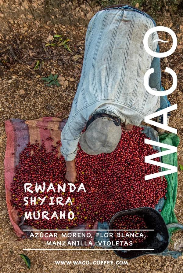 Image of Rwanda Shyra Muraho