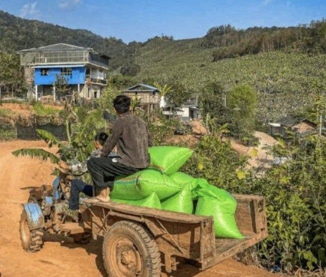 Image of China Guiben Honey