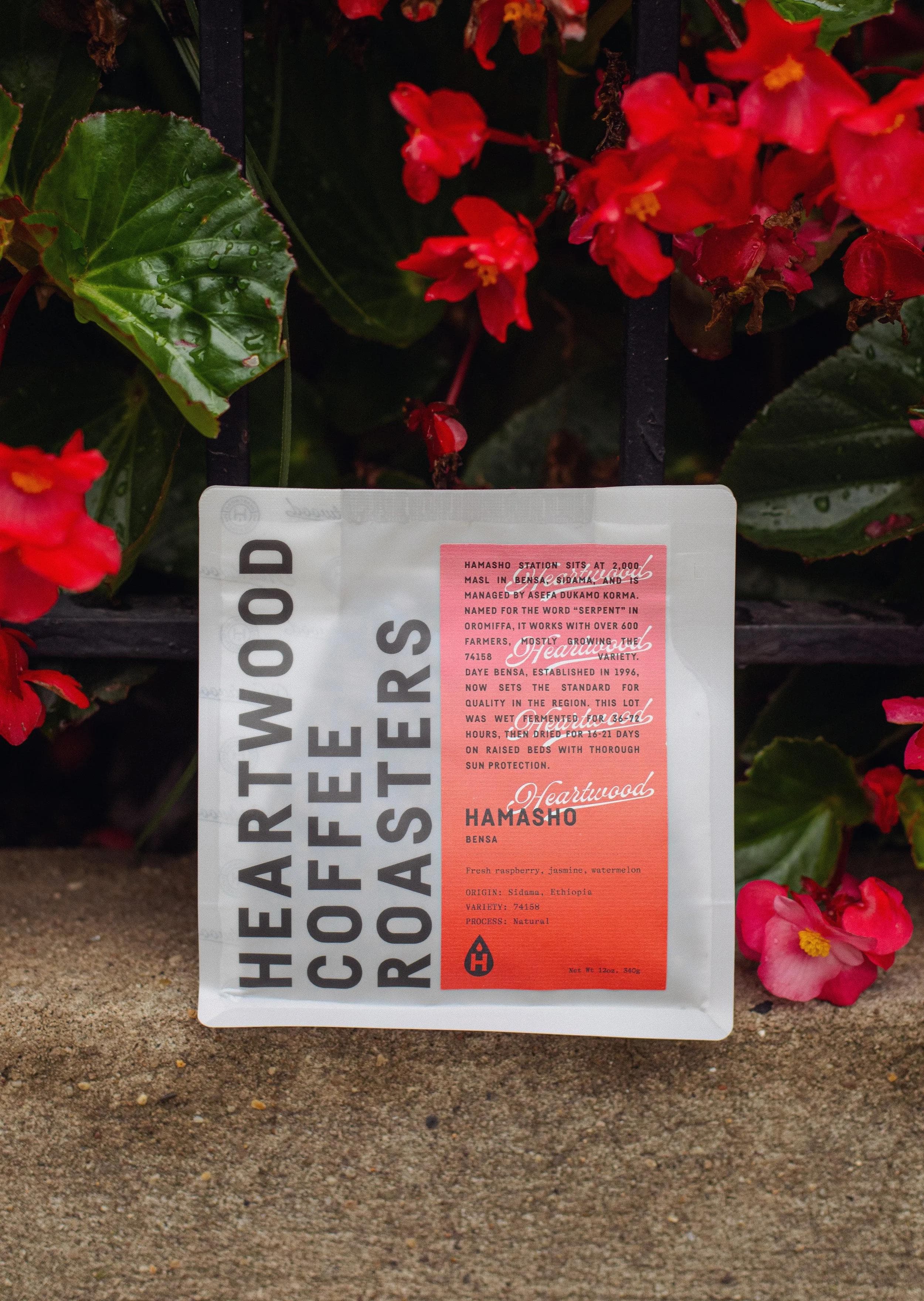 Image of Hamasho Ethiopia