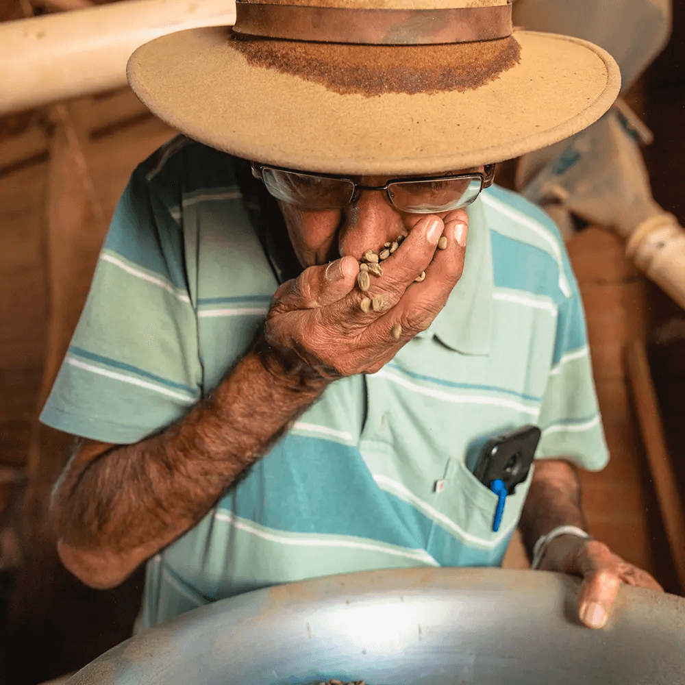Image of Brasilien Fazenda Do Engenho