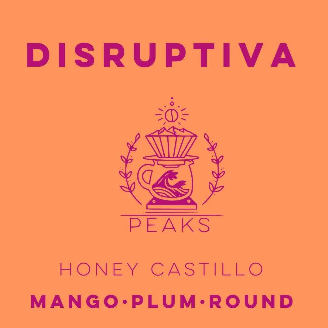 Image of Disruptiva Honey Anaerobic Castillo - Peaks Series