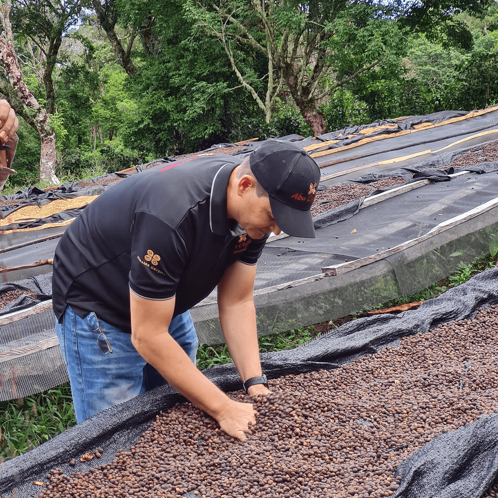 Image of GN-1935 Gesha Double Phase Aerobic and Anaerobic Natural - Boquete