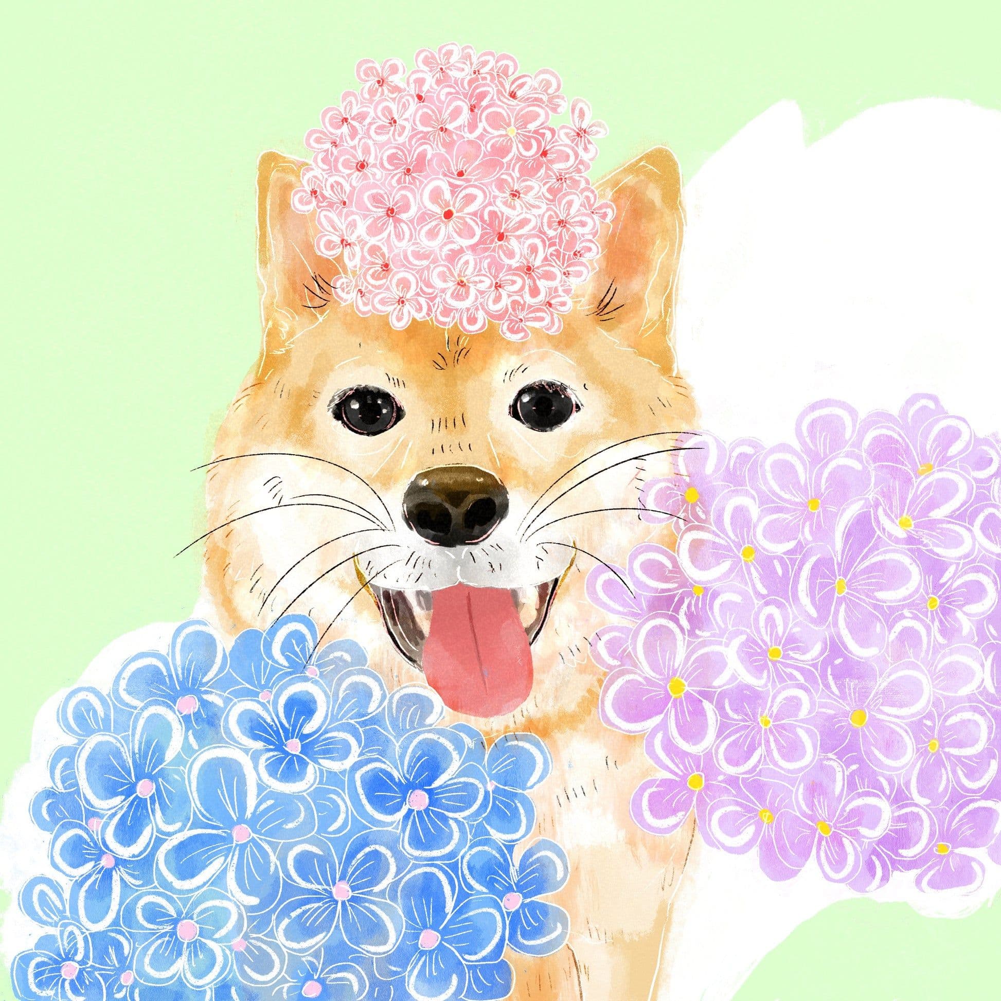 Image of Gesha Washed Elida Estate Falda 1800 PA1504