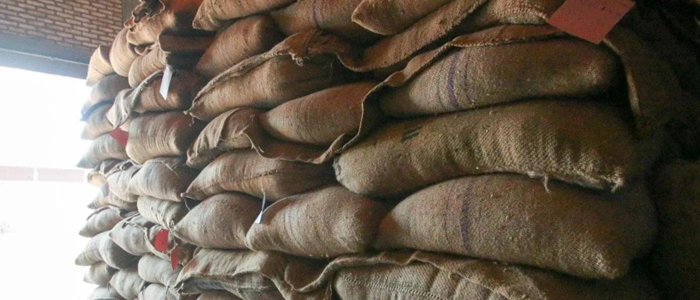 Image of Burundi Rama Washing Station