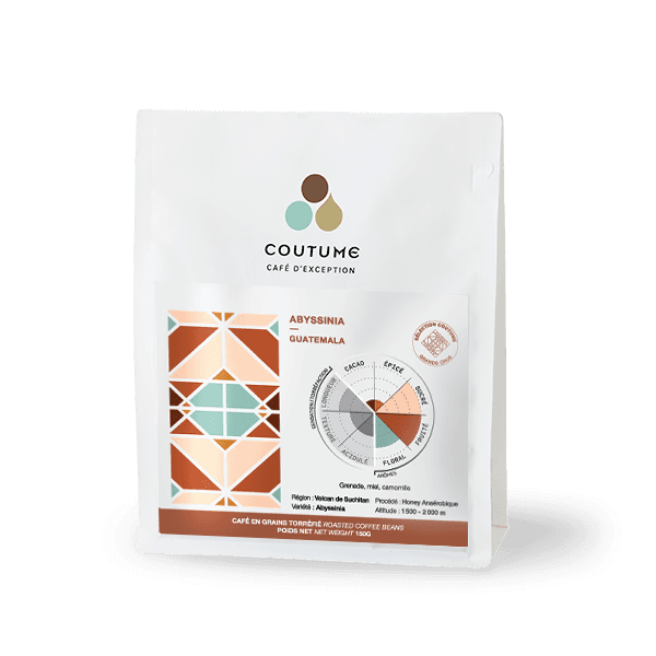 Image of  Guatemala Abyssinia 