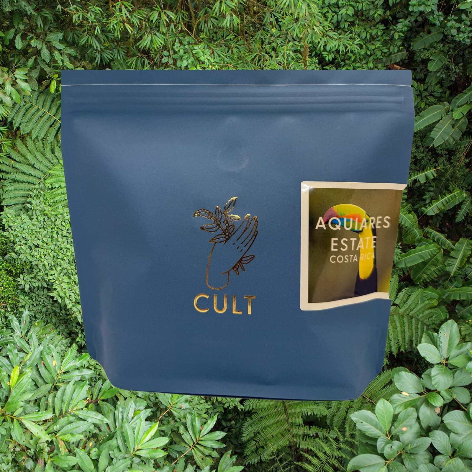 Image of Aquiares Estate Natural Costa Rica