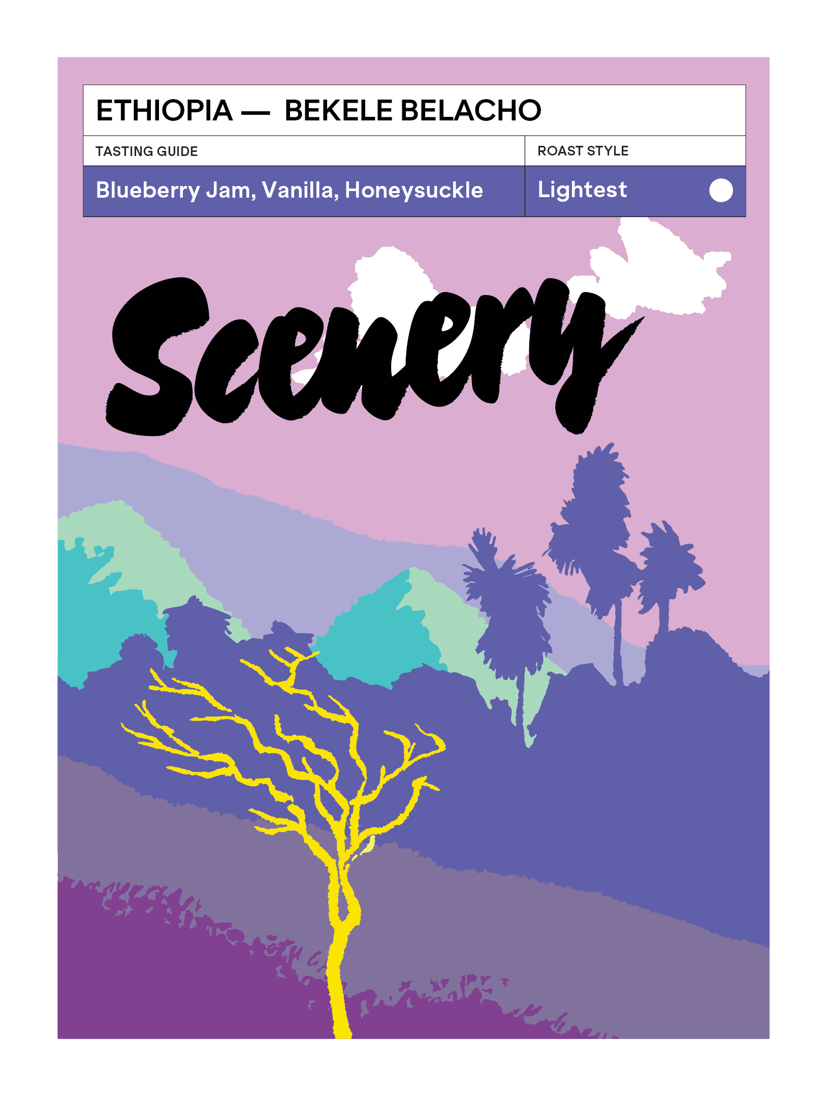 Image of Ethiopia - Bekele Belacho 24 25