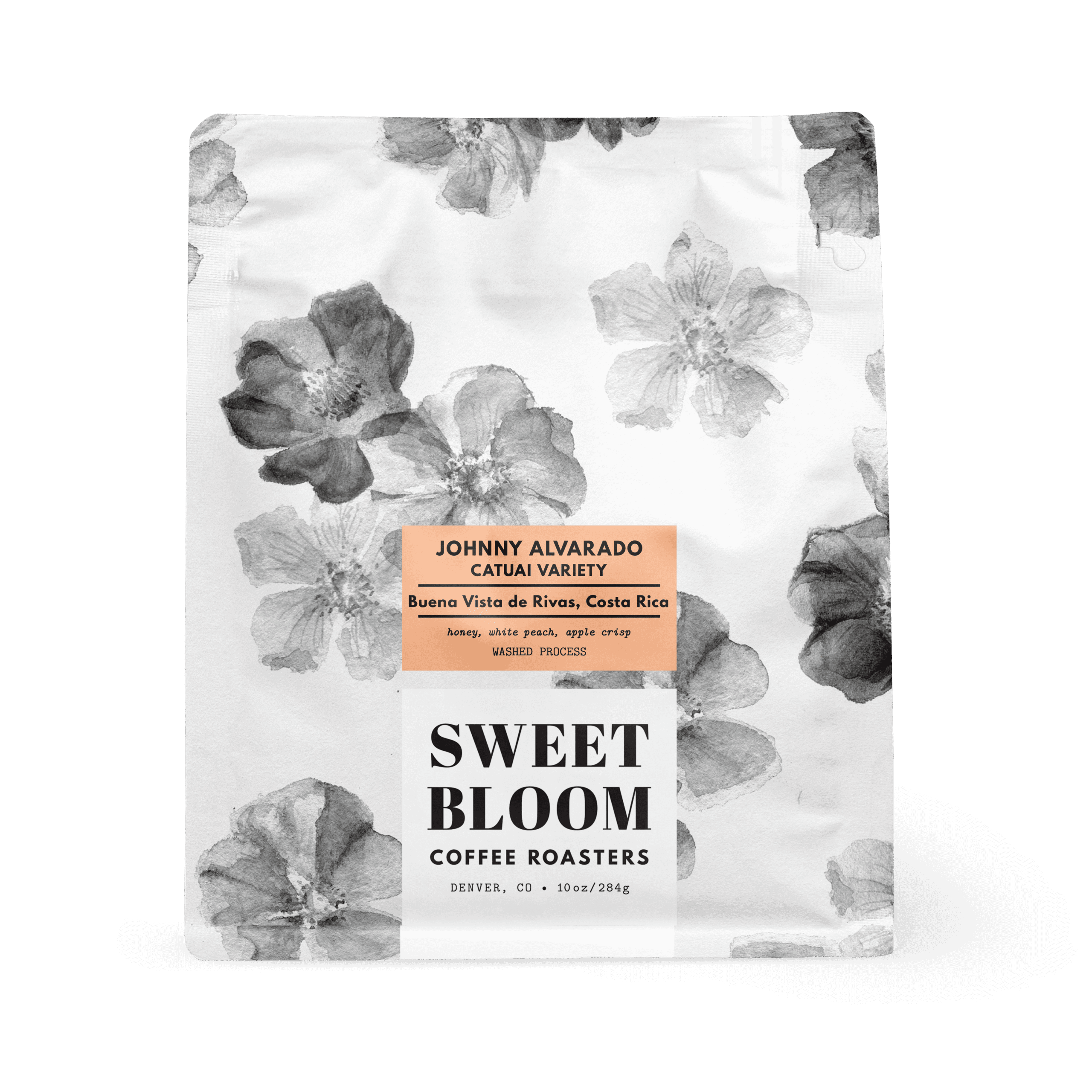 Image of Johnny Alvarado