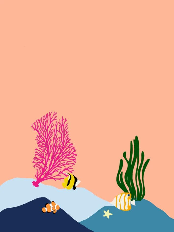 Image of La Reserva - Colombia