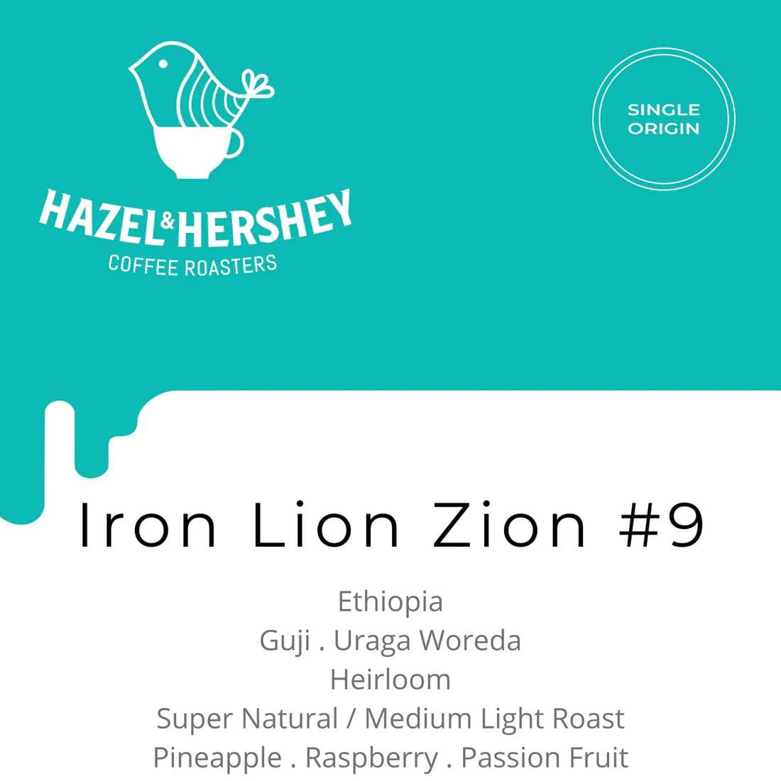 Image of Ethiopia Iron Lion Zion 9 Super Natural