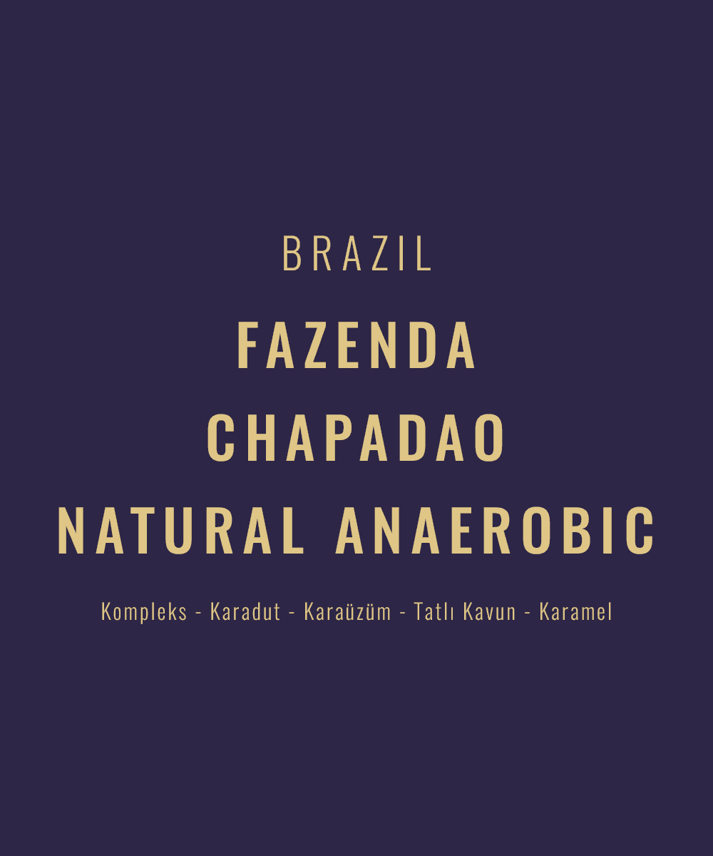 Image of Brazil - Fazenda Chapadao Natural Anaerobic Topazio