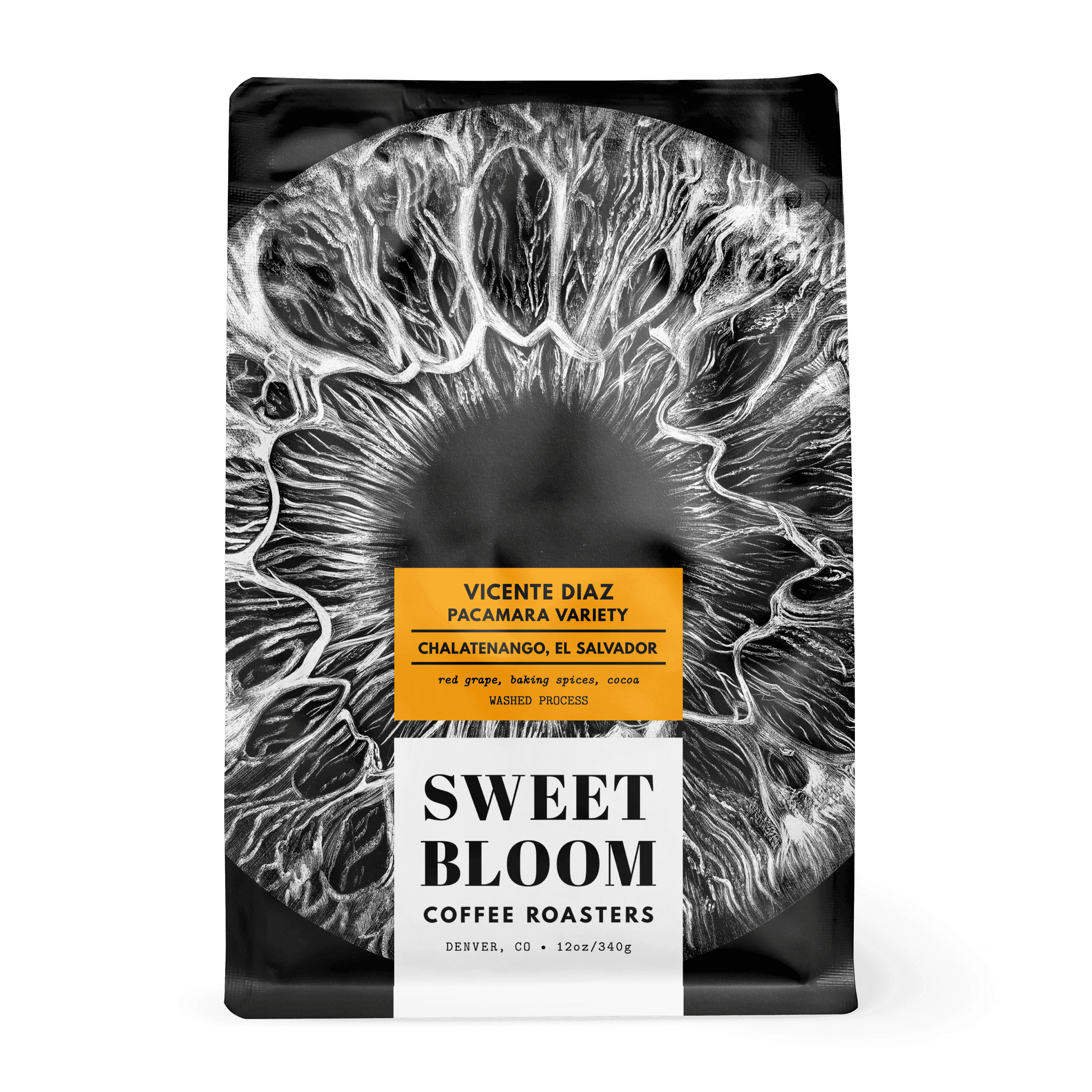 Image of Vicente Diaz