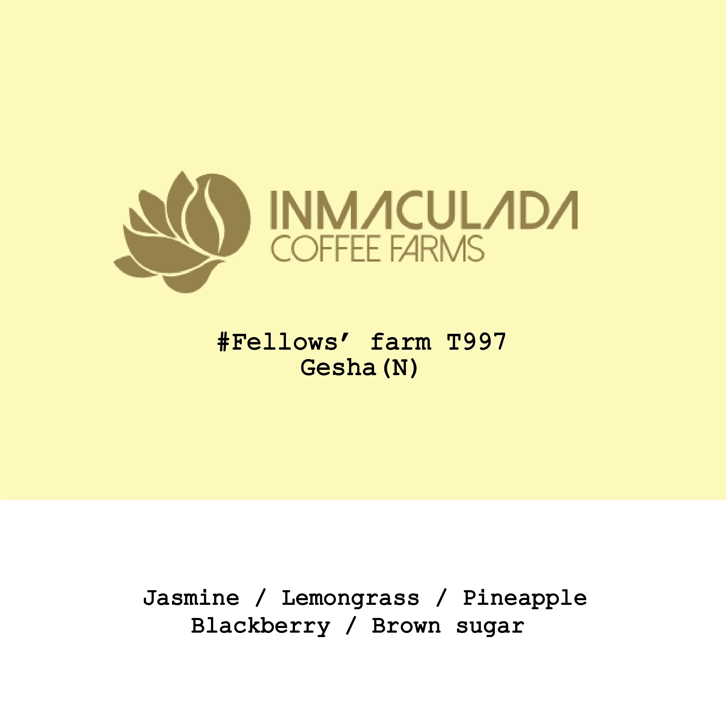 Image of New Crop Colombia Inmaculada Fellows Farms Gesha Natural-T997