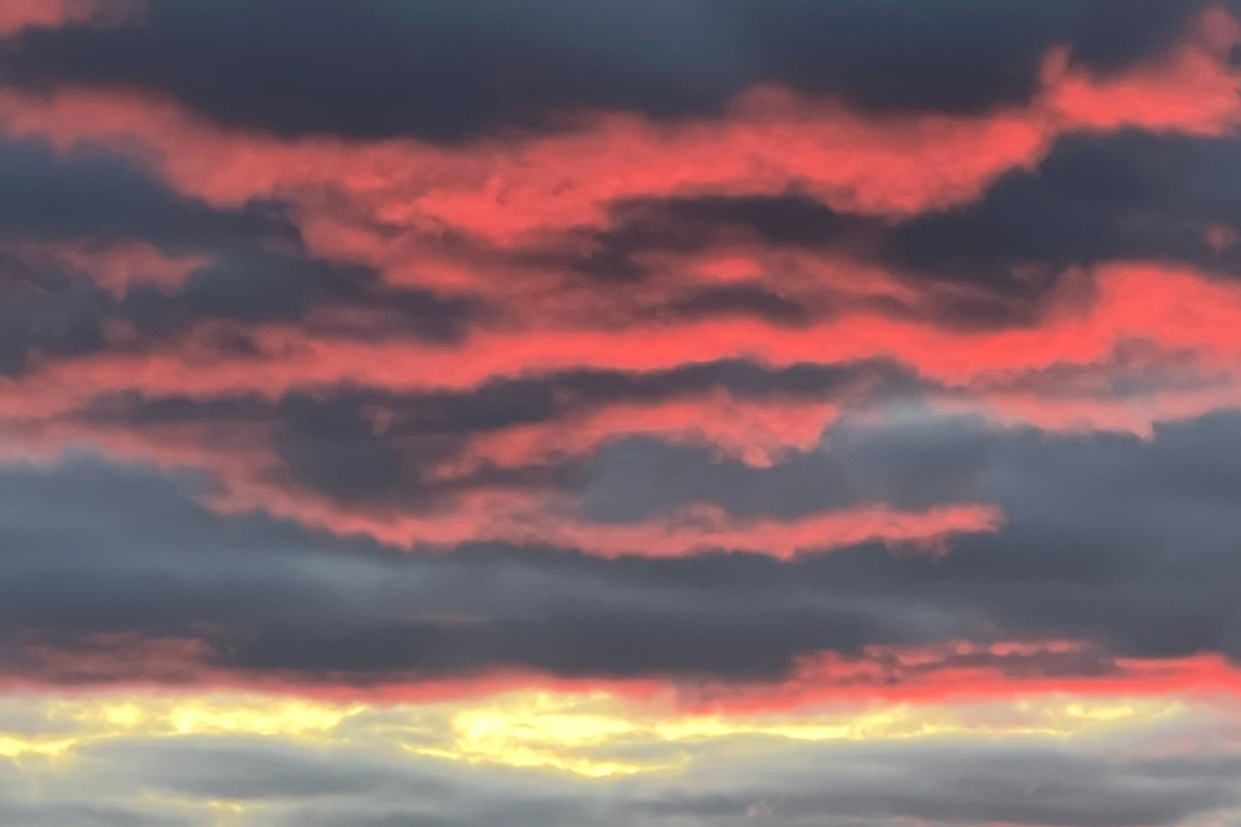 Image of Pacaysuizo Peru - Abdon Quilla Ochochoque