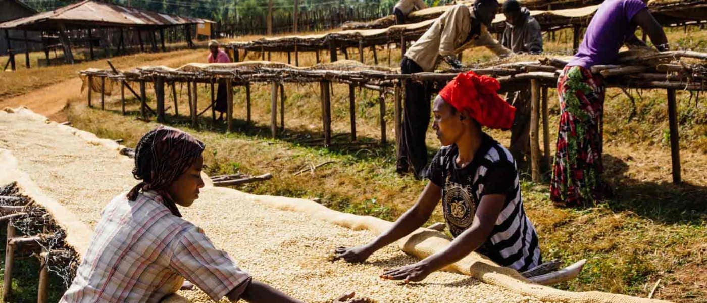 Image of Ethiopia Abiyot Boru