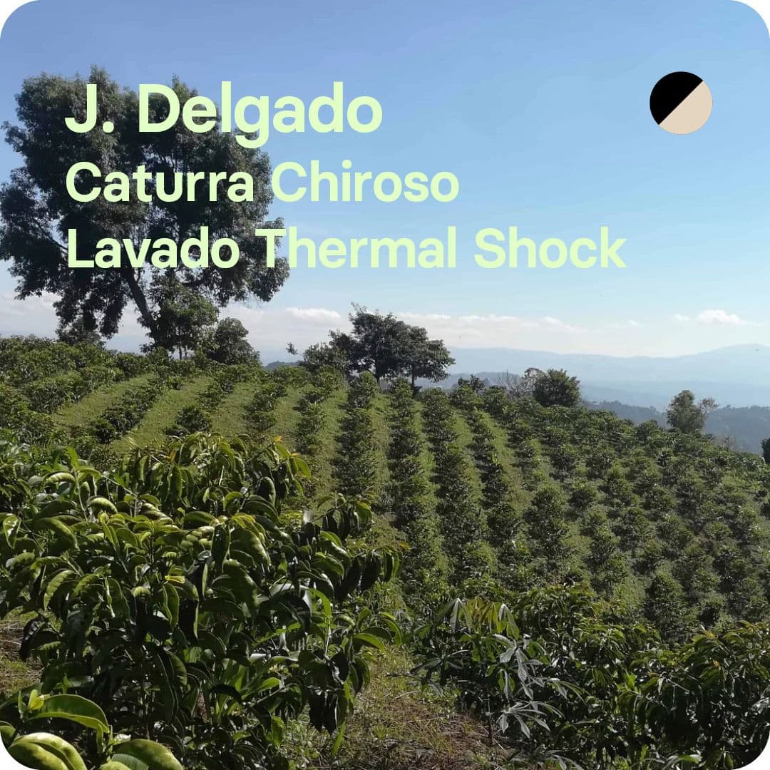 Image of J Delgado Colombia