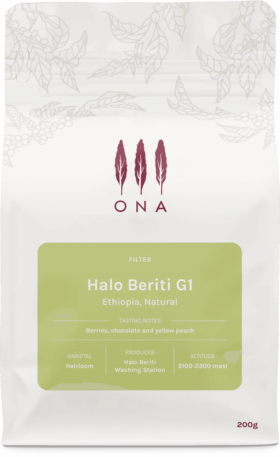 Image of Halo Beriti G1 Ethiopia Natural