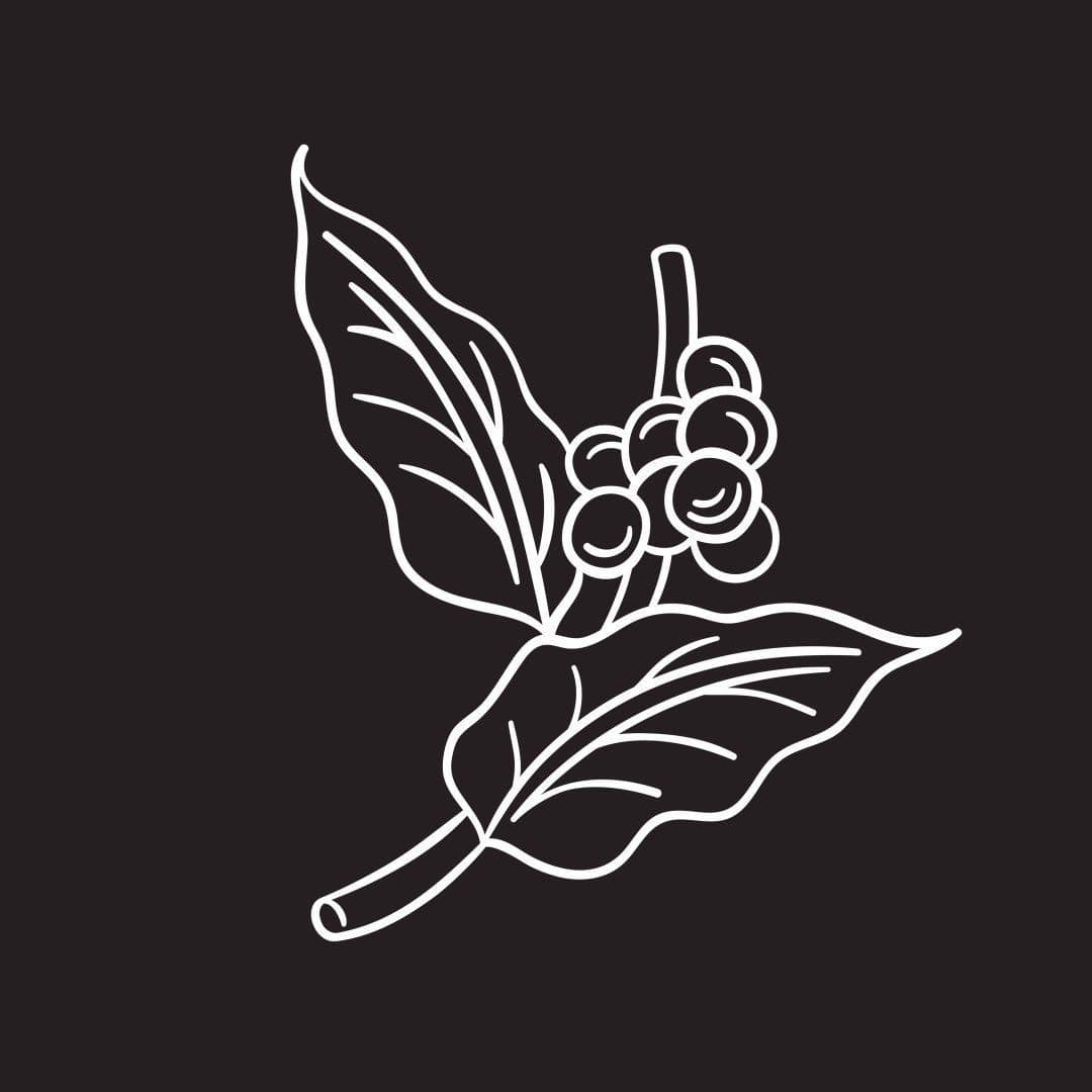 Image of Parlor Coffee 