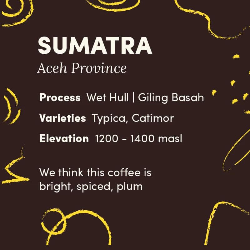 Image of Sumatra