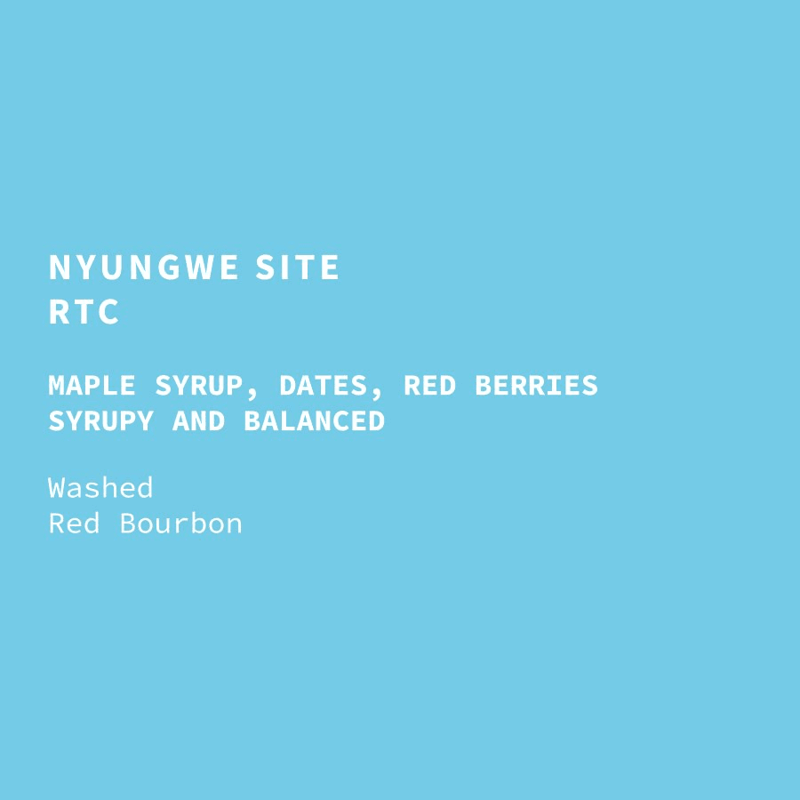 Image of Rwanda Nyungwe Site