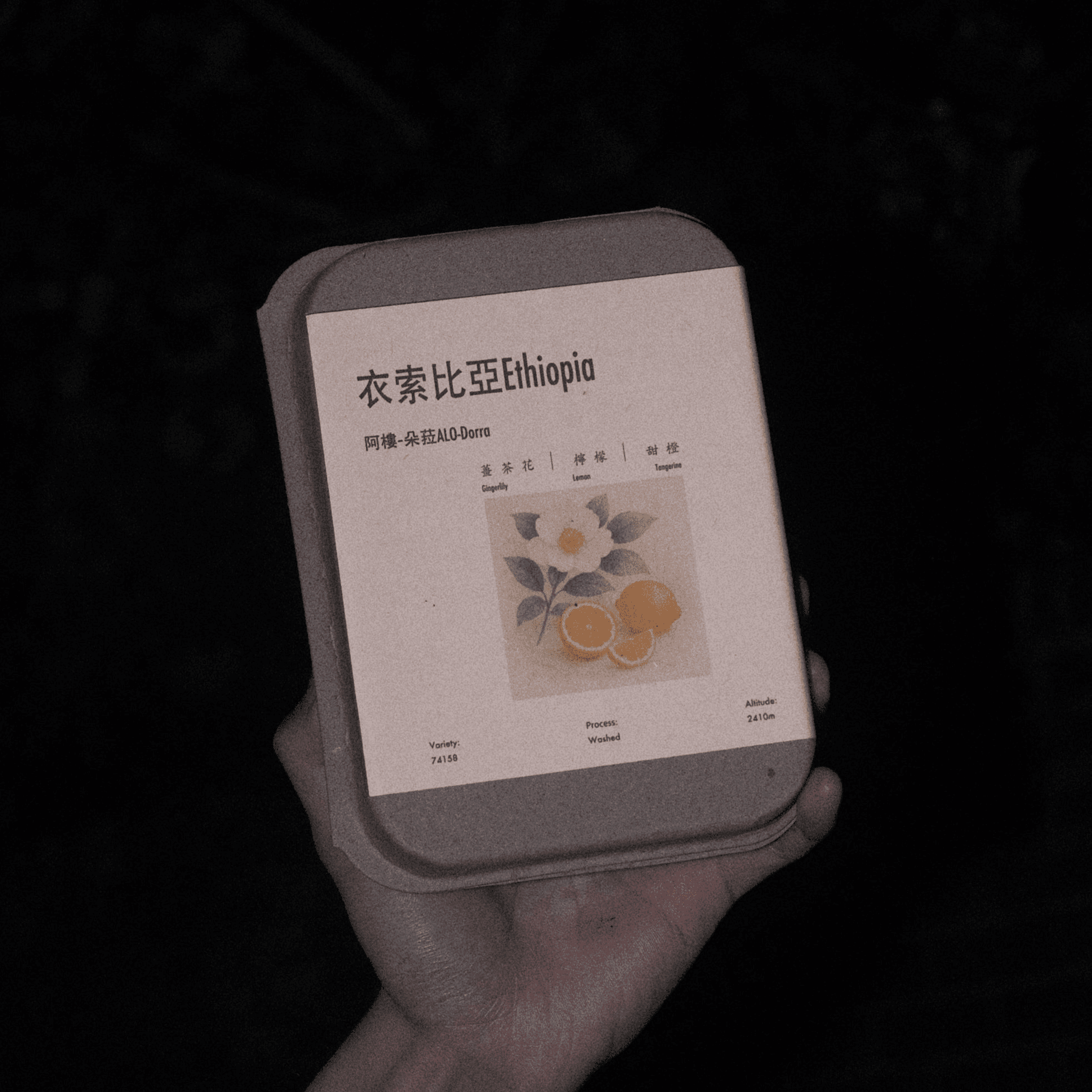 Image of Alo-Dorra TOH Washed Champ 2025