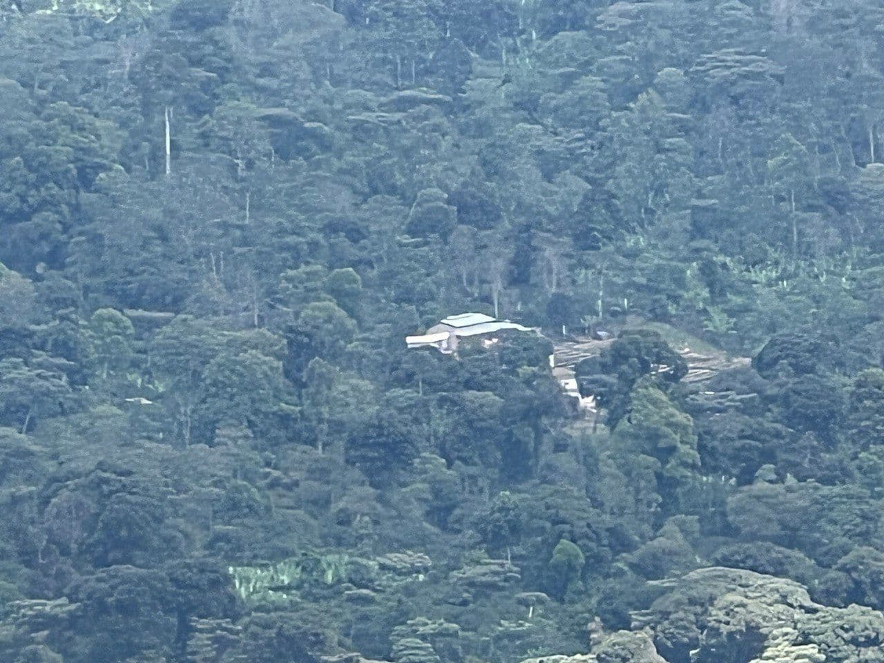 Image of Ethiopia Chelchele - Habtamu Fikadu Aga