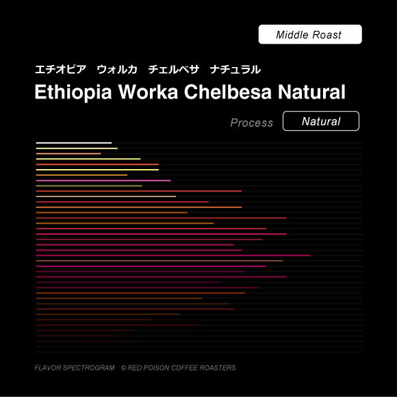 Image of Yirgachefe Chelbesa Natural