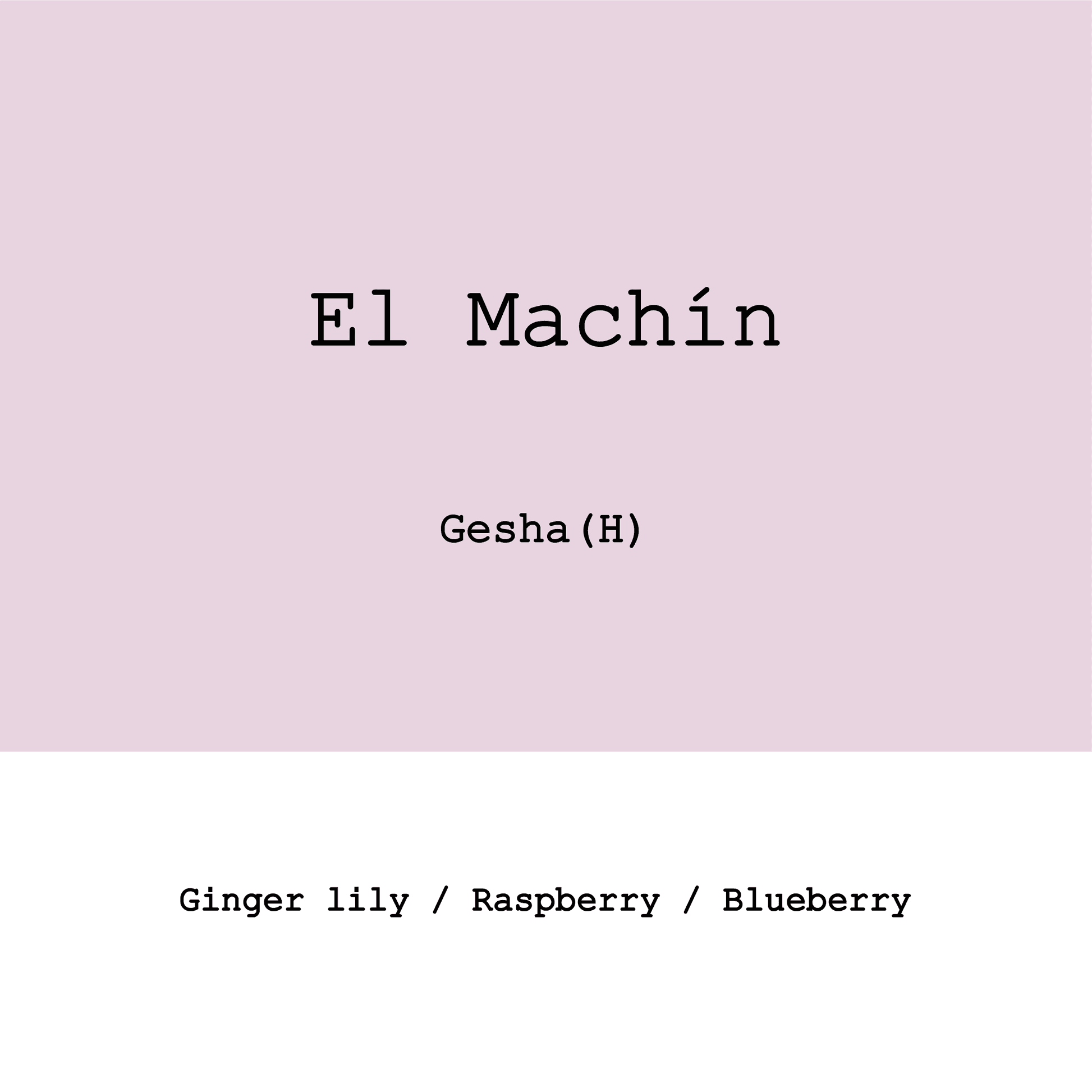 Image of Colombia El Machin Gesha Honey