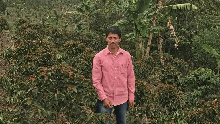 Image of Luis Anibal Honey Lactic Caturron