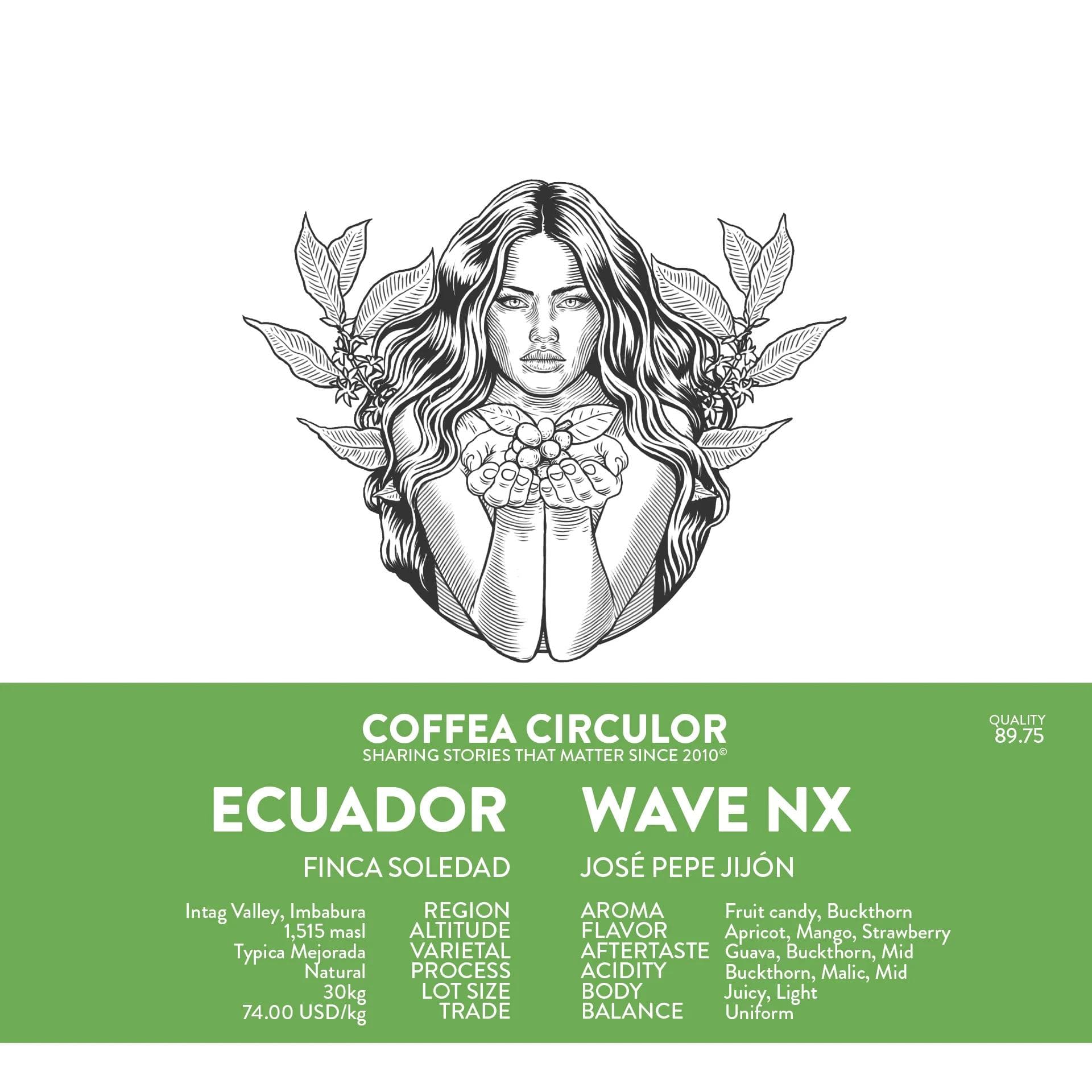 Image of Ecuador Finca Soledad Pepe Jijon Typica Mejorada Wave NX