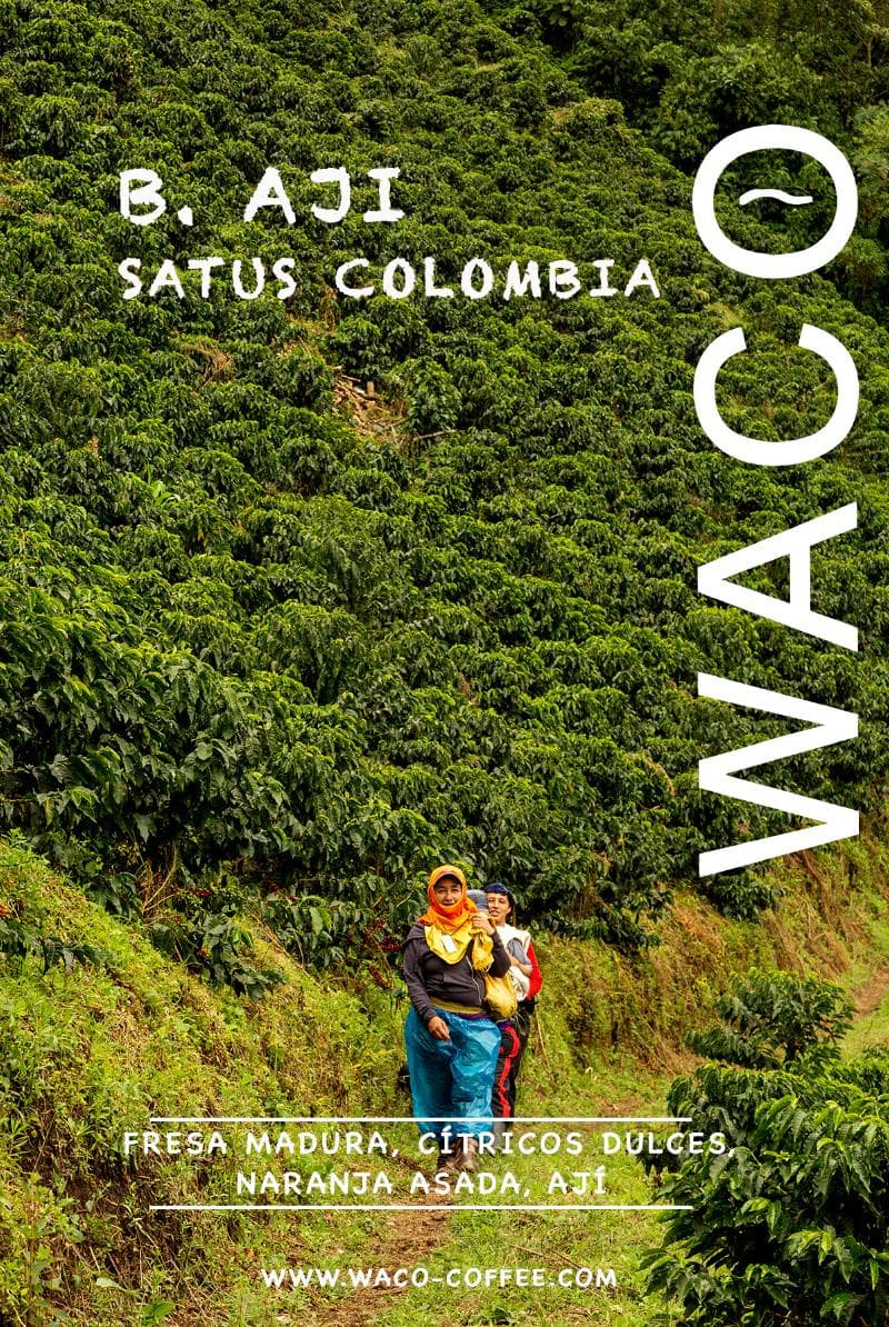 Image of Bourbon Pepper Colombia