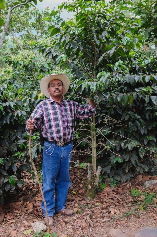 Image of Mexico Nayarit