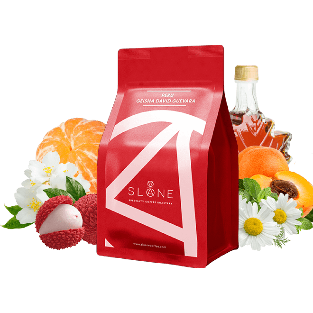 Image of Peru Geisha David Guevara