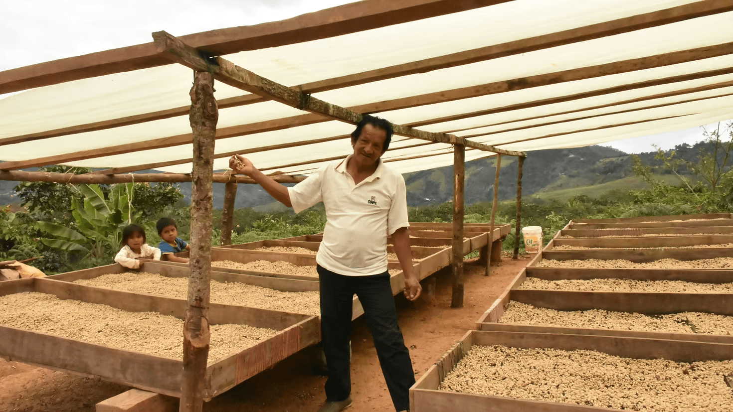 Image of Peru La Coipa Organic