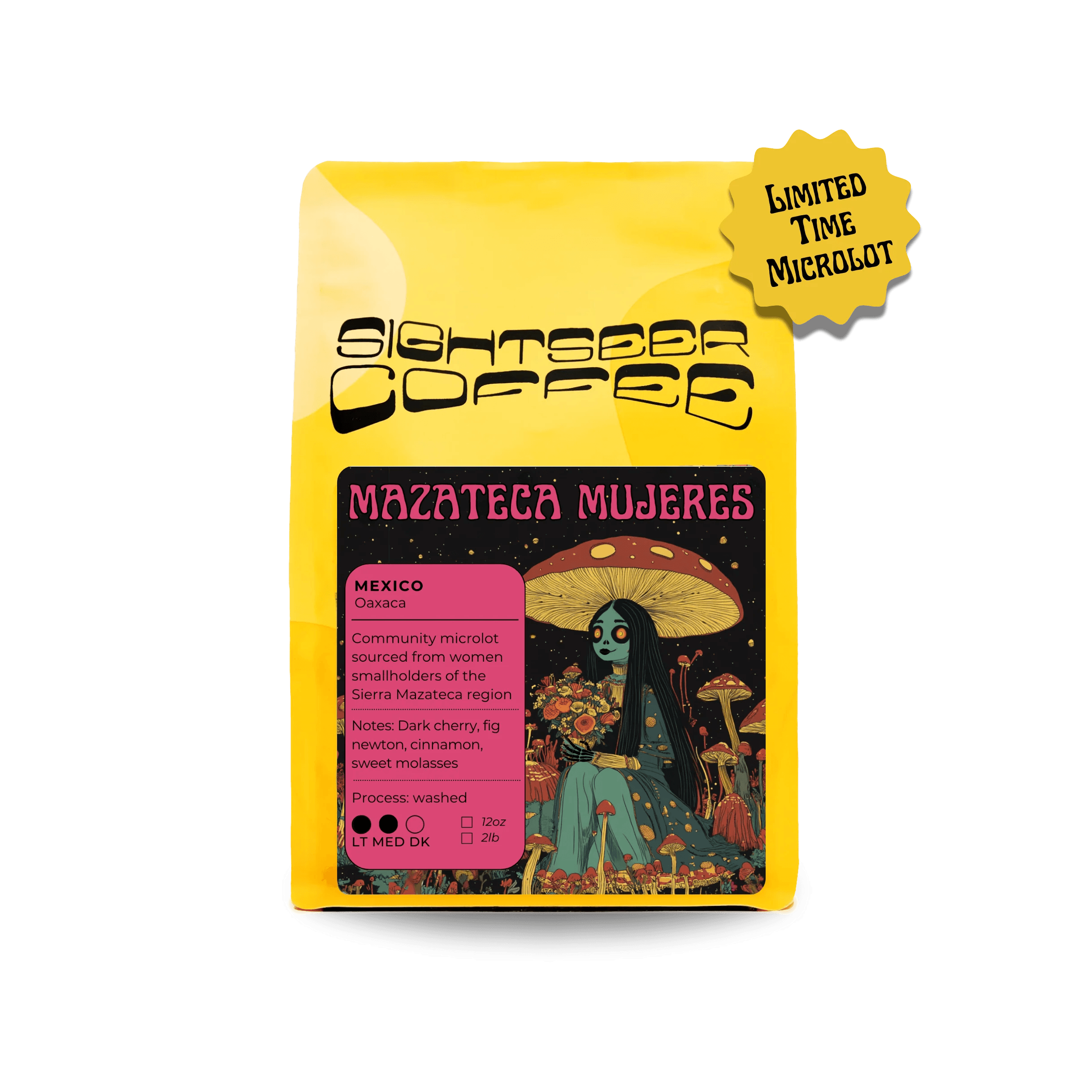 Image of Mazateca Mujeres - Mexico