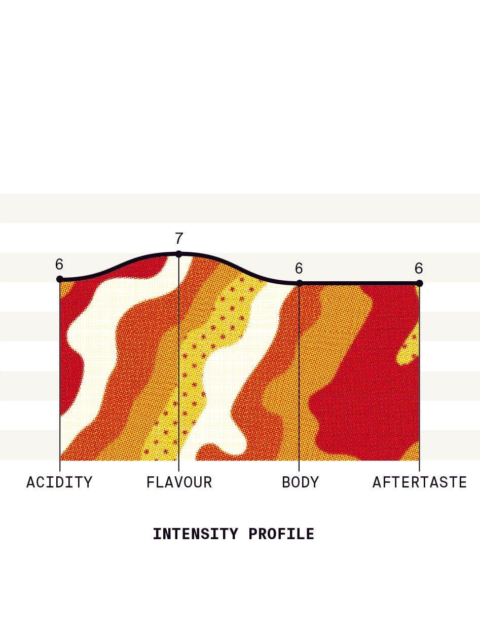 Image of Colombia CGLE Geisha Honey