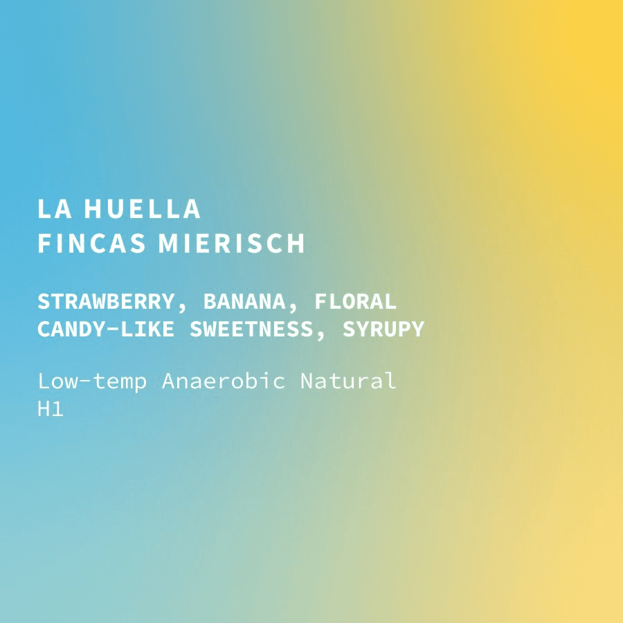 Image of Nicaragua Fincas Mierisch