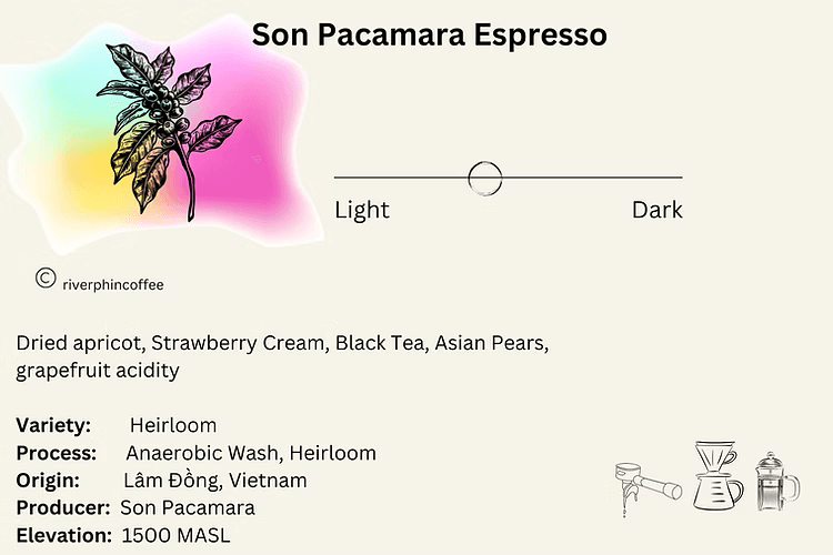 Image of Son Pacamara Heirloom Espresso