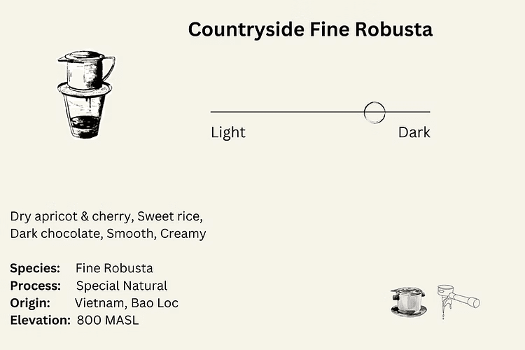 Image of Countryside Fine Robusta