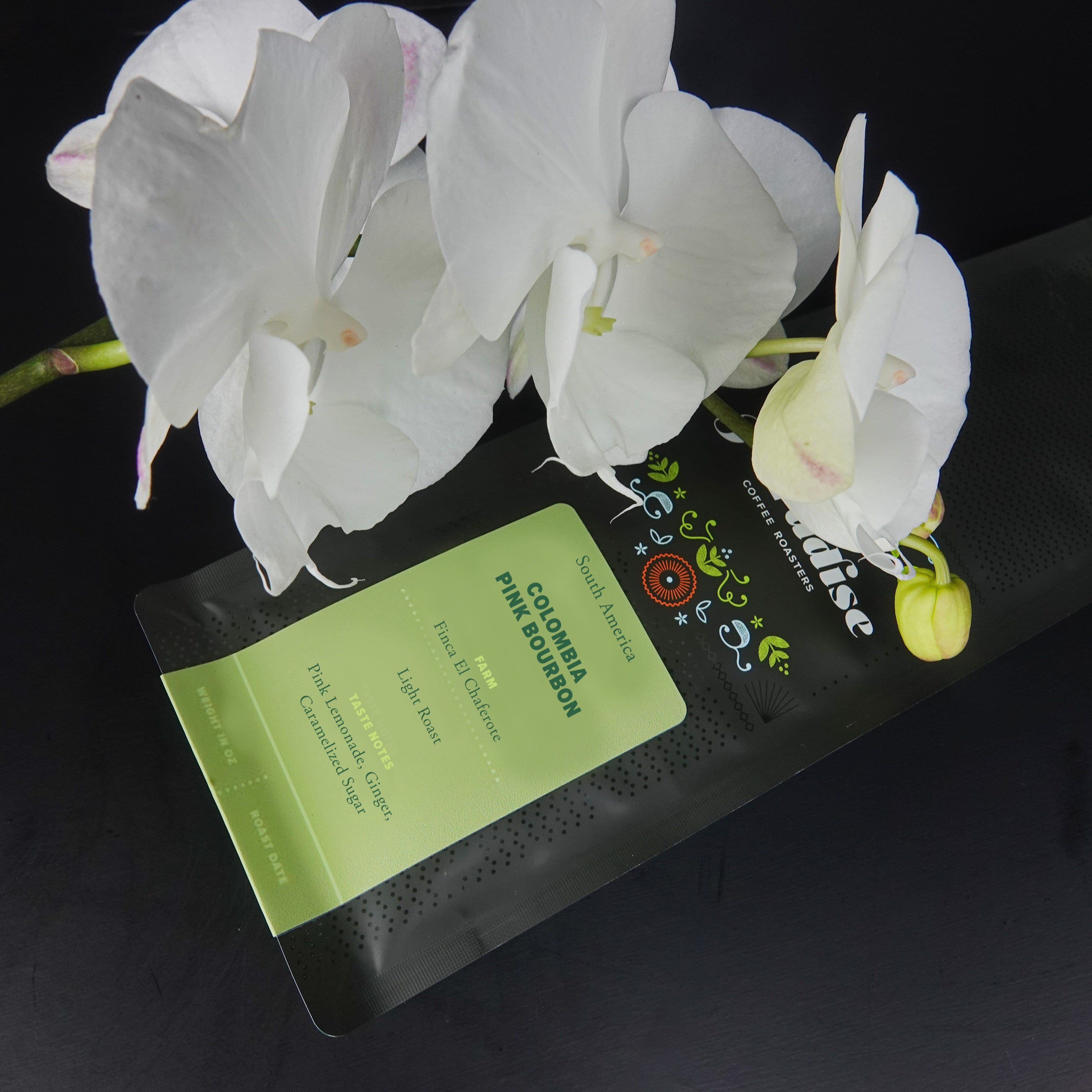 Image of Colombia Pink Bourbon - Finca El Chaferote