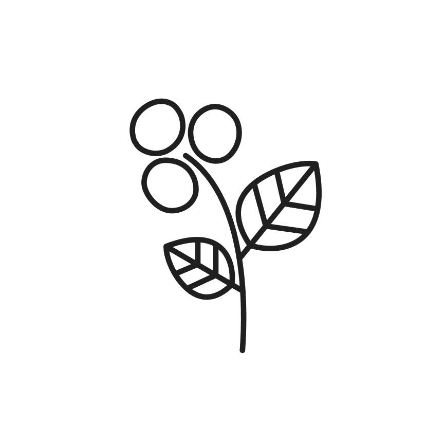 Image of Spring Valley Coffee