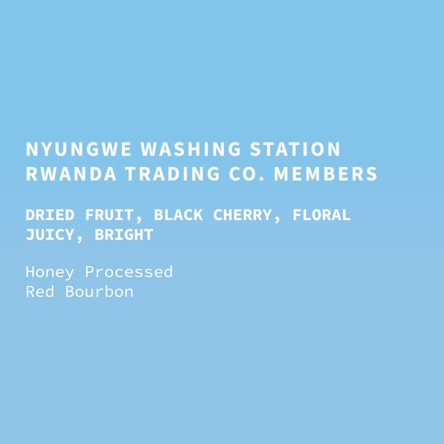 Image of Rwanda Nyungwe Site