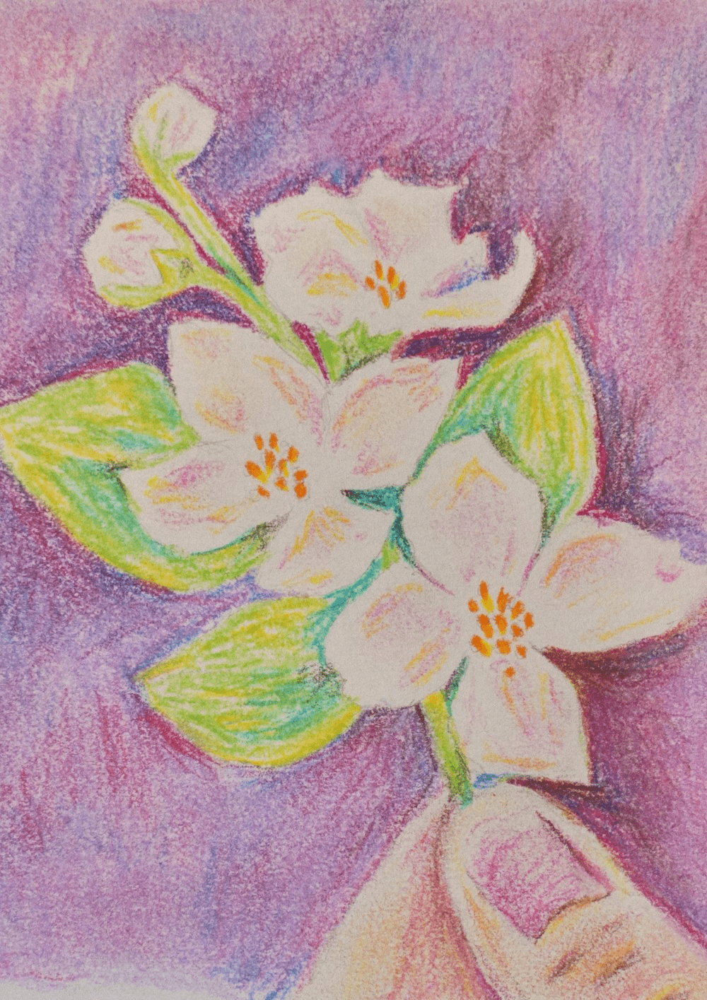 Image of Yunlan Estate