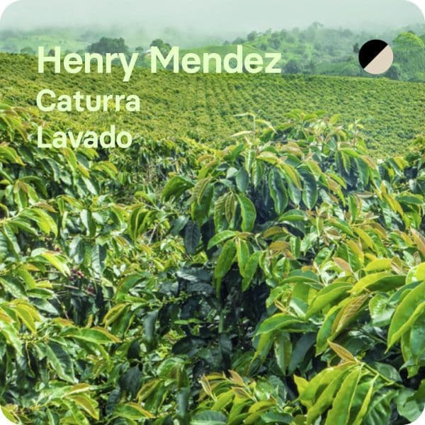 Image of Henry Mendez Colombia