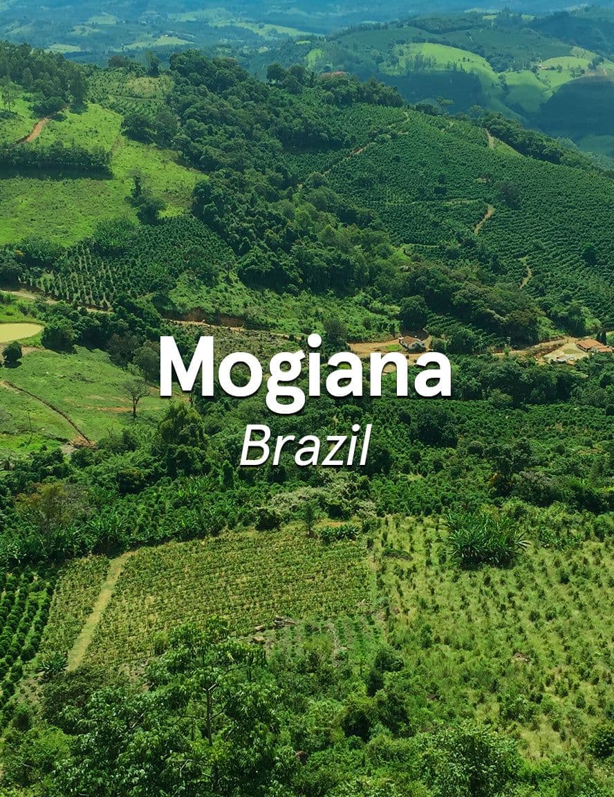 Image of Brazil Mogiana Natural