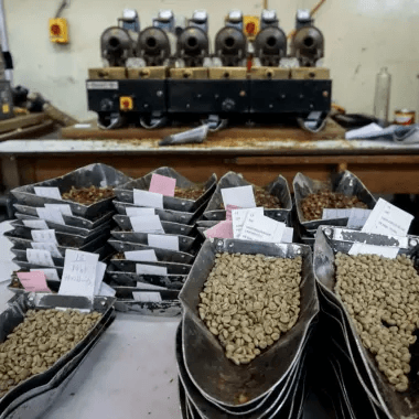 Image of Kenya Gitutu