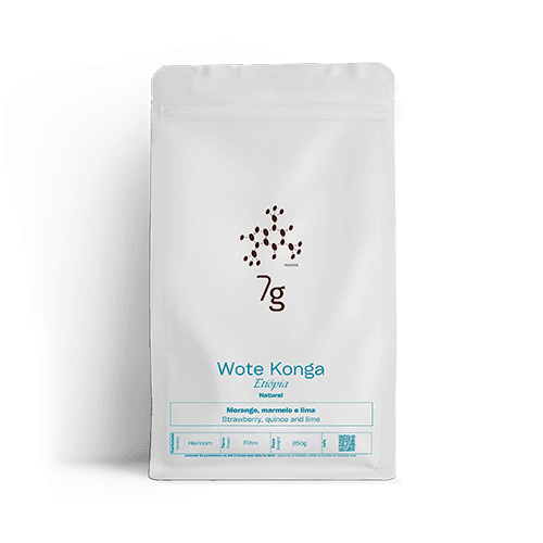 Image of ETHIOPIA - WOTE KONGA