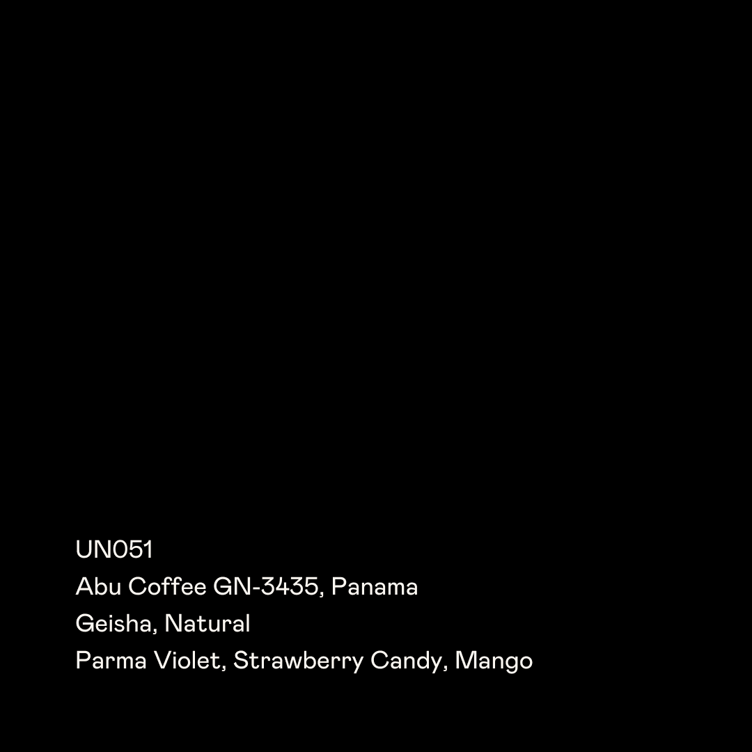 Image of Un051 Abu Gn 3435 Geisha Natural