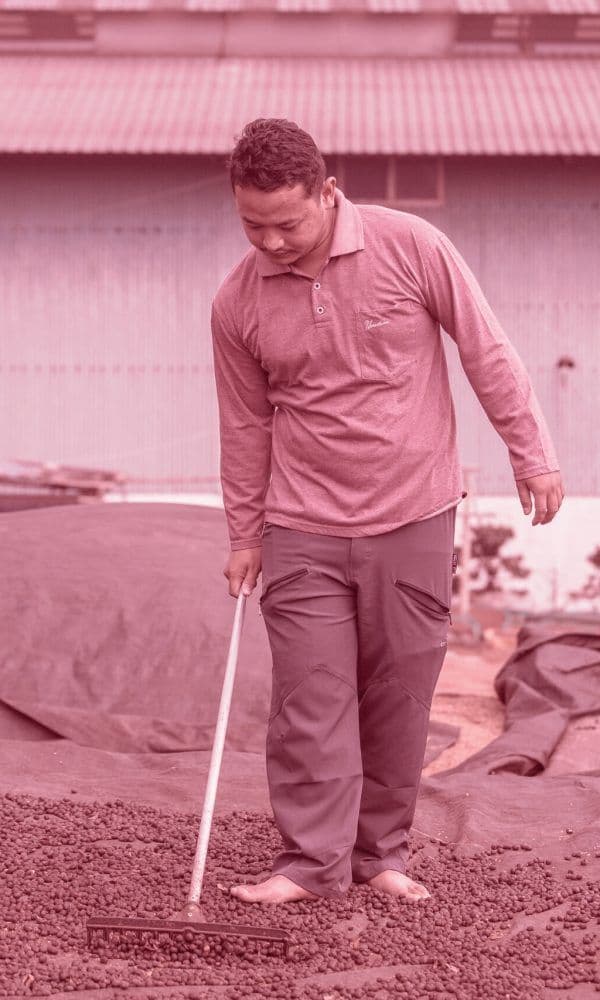 Image of Frinsa Borbor