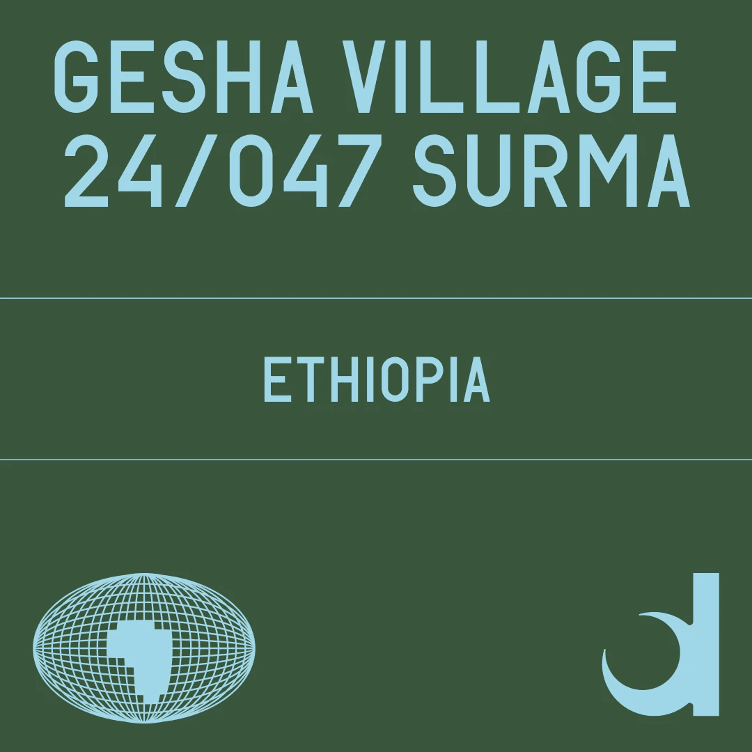 Image of 24- 047 Surma Washed Gesha Village